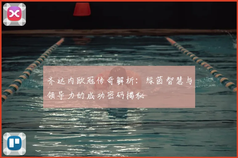 齐达内欧冠传奇解析：绿茵智慧与领导力的成功密码揭秘