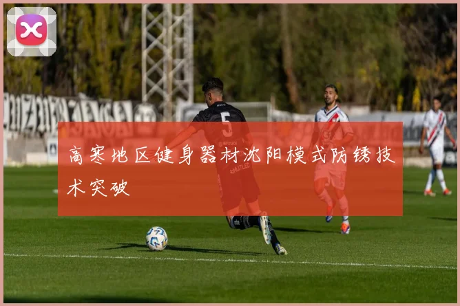 高寒地区健身器材沈阳模式防锈技术突破