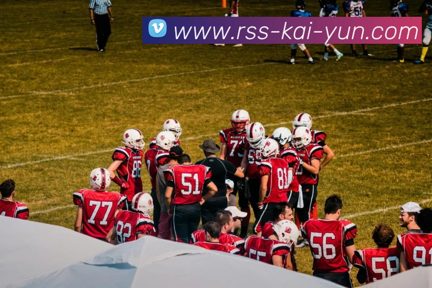 开云平台生态图